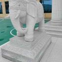 芜湖 白麻花岗岩动物异形石雕-大象