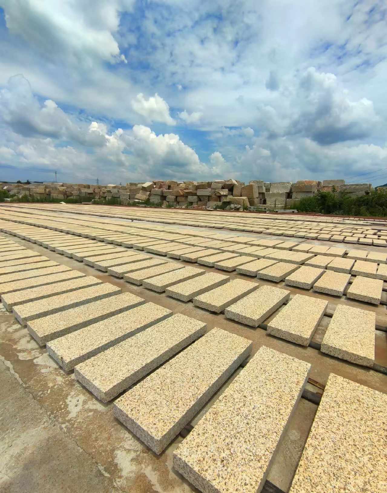 芜湖 黄金麻荔枝面花岗岩石材地铺石防护中
